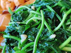 炒地瓜苗-老根农家饭店