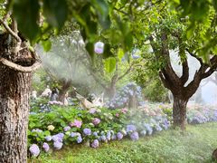 -名花谷生态庄园