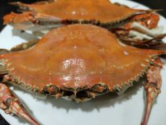 -海岛渔村大酒店(云霄路店)