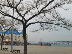 -东财大盘鸡(黑石礁店)