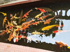 -侠成水上农庄(工业大道店)