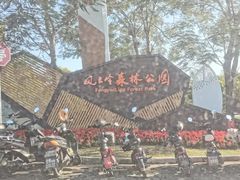 -风云岭森林公园