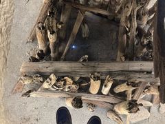-河姆渡遗址博物馆