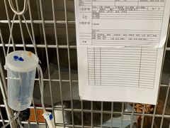 -艾贝尔宠物医院·24H转诊中心·肿瘤猫专科(江宁双龙店)