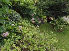 -华东师范大学附属紫竹幼儿园