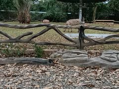 -海南热带野生动植物园