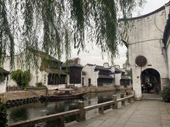 -真真老老(月河花鸟市场店)