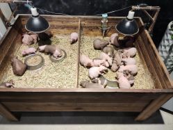 -酷嗒动物文化乐园(cutezoo西溪乐天城店)