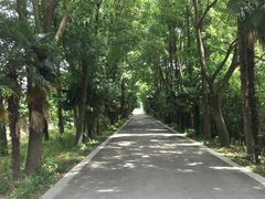 -同里国家湿地公园