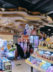 -卡通尼·Safari非洲探索乐园·生日会(金桥国际商业广场店)