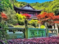 -十八棵（老龙井）御茶园(老龙井店)