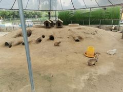 -前小桔亲子创意农场·草莓采摘·露营烧烤