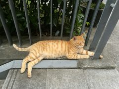 -上海财经大学-新食堂