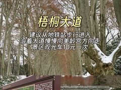 -应天大明王朝·南京菜(中山陵店)