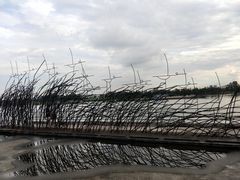 -广州市紫泥堂文化创意园景区