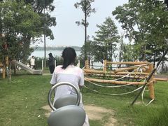 -金鸡湖桃花岛