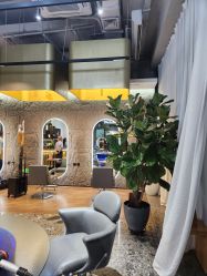 -MaisonFL·美颂法式专业美发艺术沙龙