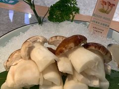 -滇色蒸汽石锅鱼(京华城店)
