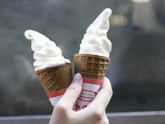 -富豪雪糕车流动点(尖沙咀店)