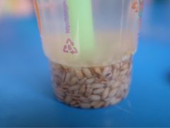 青稞甜醅-德禄酸奶(莫家街店)