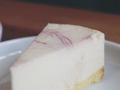 -去茶山
