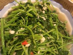 炒小米菜-多哥水傣味餐厅(司马巷店)