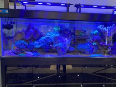 -宁海食府·涌宴(真和店)