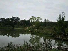 -桤木河湿地公园