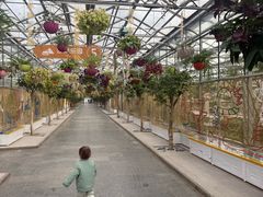 -南宫五洲植物乐园