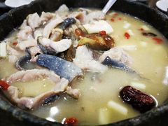 石锅野生藏鱼-绿色墨脱石锅城