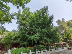 -潭柘寺景区