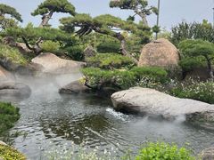 -罗红摄影艺术馆