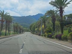 -罗浮山嘉宝田森林温泉度假酒店