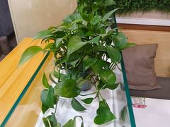 -嘉和一品粥(山水店)