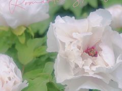 -陕西省西安植物园