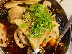 -滋味成都