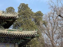 -潭柘寺景区