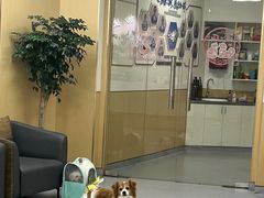 -康成宠物医院24H·CT·核磁共振