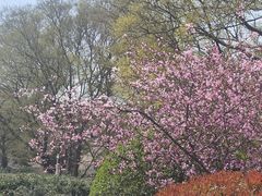 -南京市江宁方山