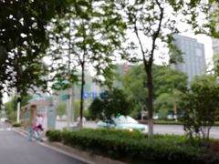 -美美宠物诊疗中心·异宠·骨科(滨江东信分院)