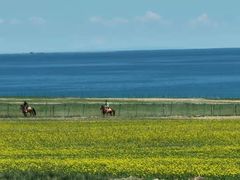 -青海湖国家重点风景名胜区