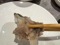 -张凯达·深海石斑鱼潮汕火锅(十五年品牌•虹桥天街店)