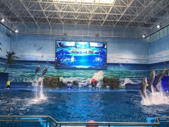 -多彩贵州城极地海洋世界