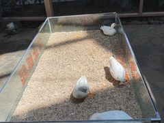 -南宫五洲植物乐园