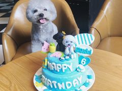 -Oh My Dog宠物沙龙(伊珊娜皮毛护理店)