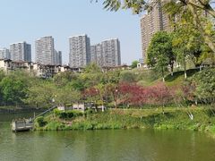 -重庆彩云湖湿地公园