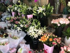 -沪花拾者(好再来花卉鲜花店)