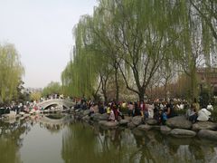 -西安青龙寺遗址景区