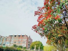 -陆家嘴中心绿地