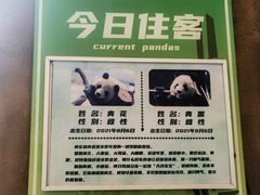 -乐和乐都主题乐园